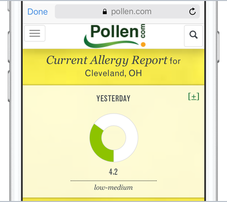 features_pollen